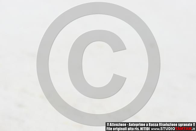 IMGB7894.JPG