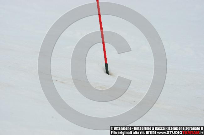 IMGB7184.JPG