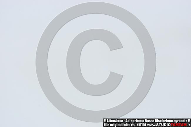 IMGB7343.JPG