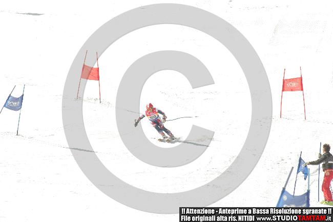 IMGB2010.JPG