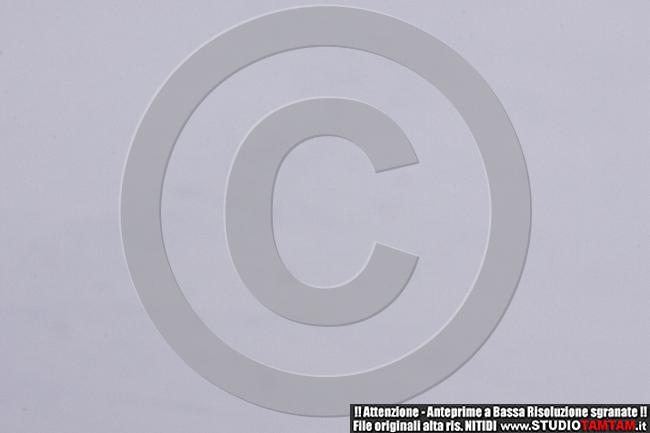 NJ6I8147.JPG