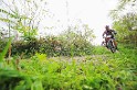 IMG_0061
