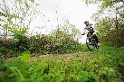 IMG_0547
