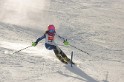 _MGB9561
