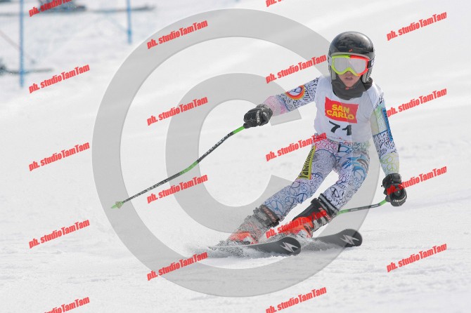 IMGB2012.JPG