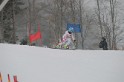 IMGB2419