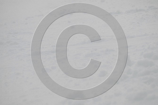 9N5P3865.JPG