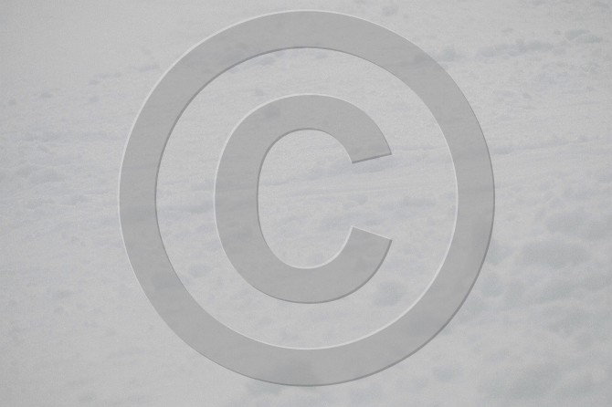 9N5P3866.JPG