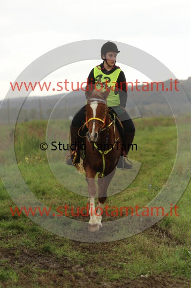 MAT_0239.JPG