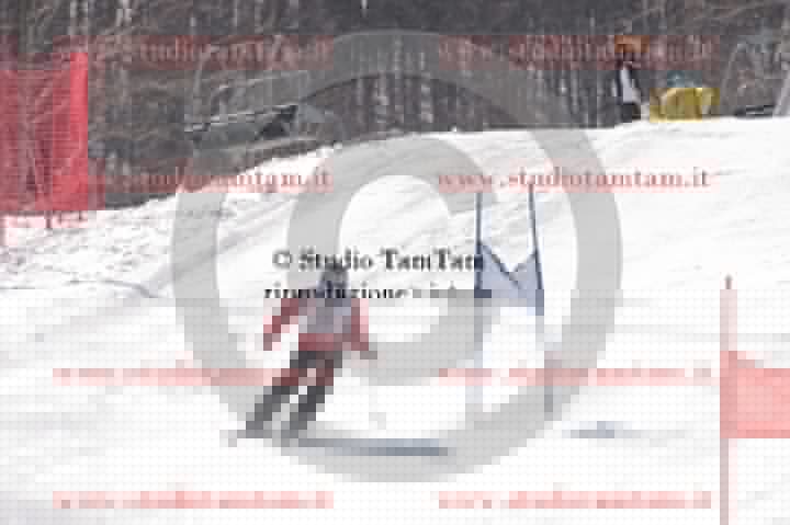 IMGB8661.JPG