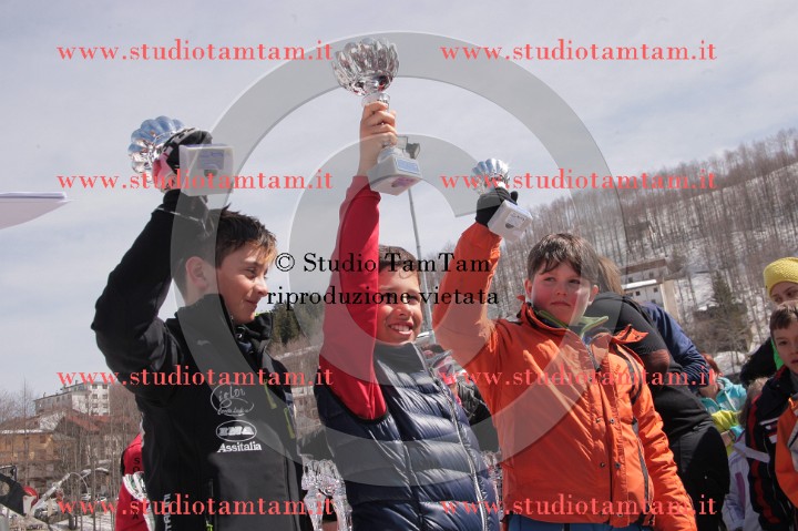 IMGB0711.JPG
