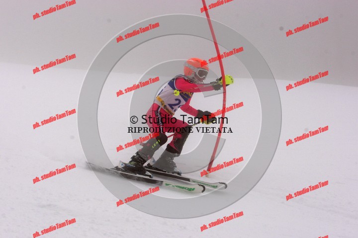 IMGB7132_exposure.JPG