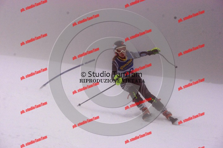 IMGB7163_exposure.JPG