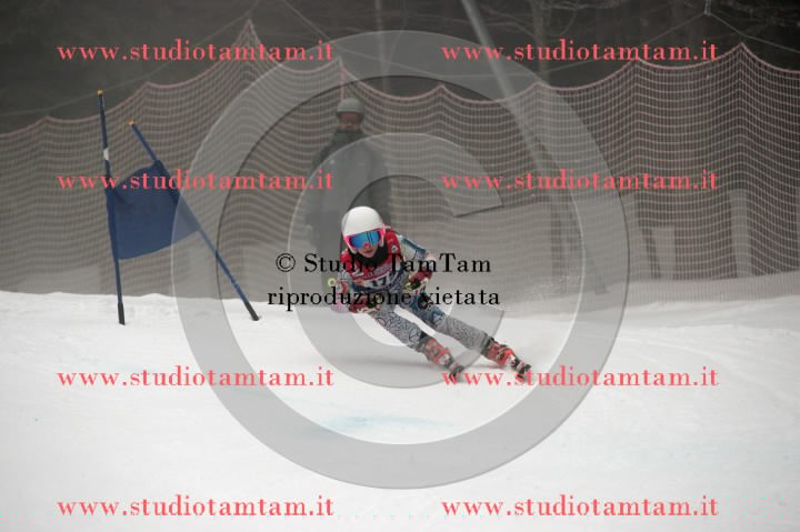 IMGB4330_exposure.JPG