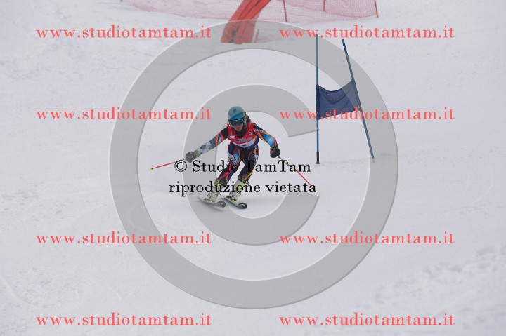 IMGB3515_exposure.JPG