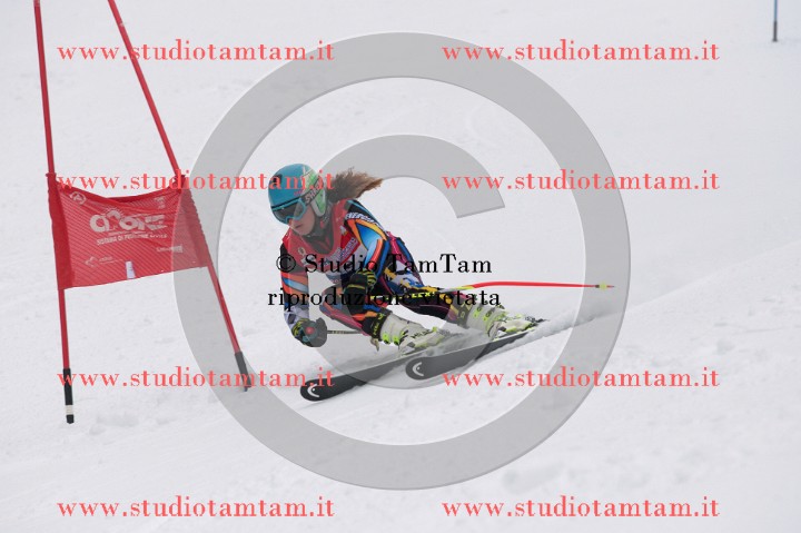 IMGB3517_exposure.JPG