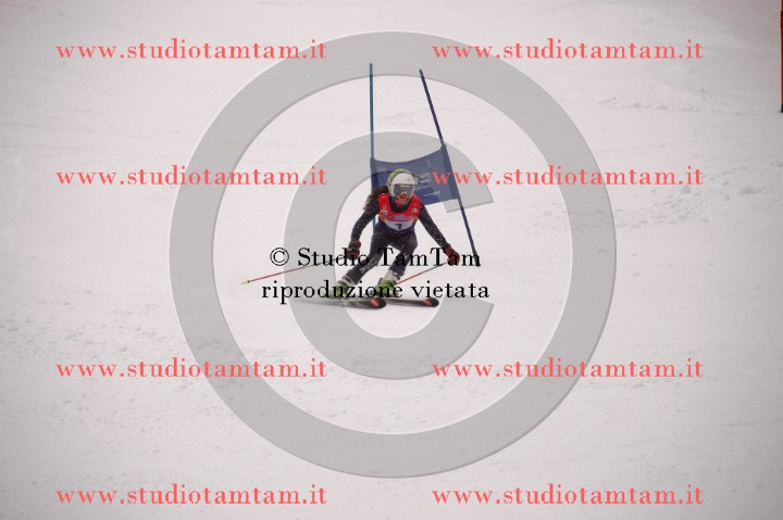IMGB3533_exposure.JPG