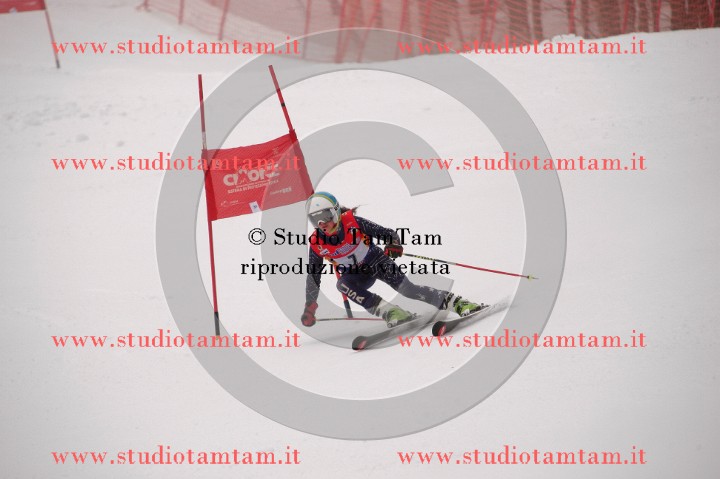 IMGB3536_exposure.JPG
