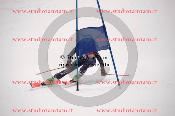 IMGB3537_exposure.JPG