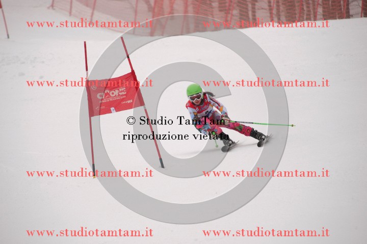 IMGB3545_exposure.JPG