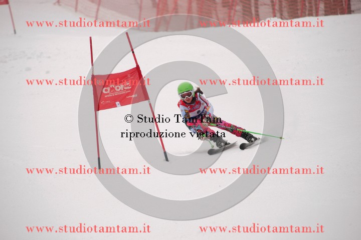 IMGB3546_exposure.JPG