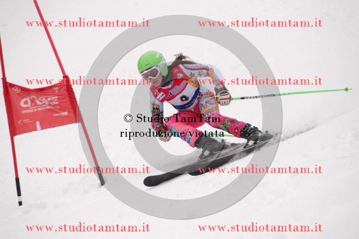 IMGB3552_exposure.JPG