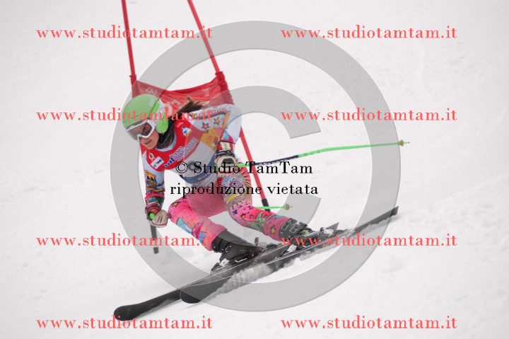 IMGB3553_exposure.JPG