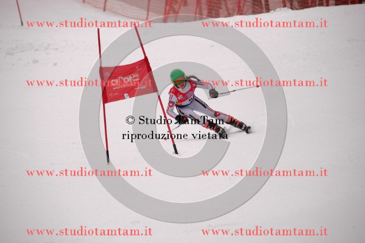 IMGB3556_exposure.JPG