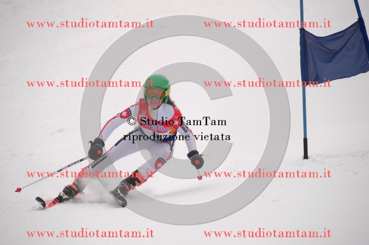 IMGB3561_exposure.JPG