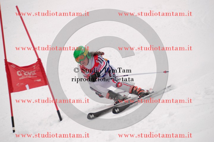 IMGB3563_exposure.JPG