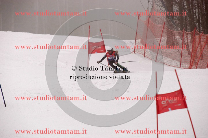 IMGB3577_exposure.JPG
