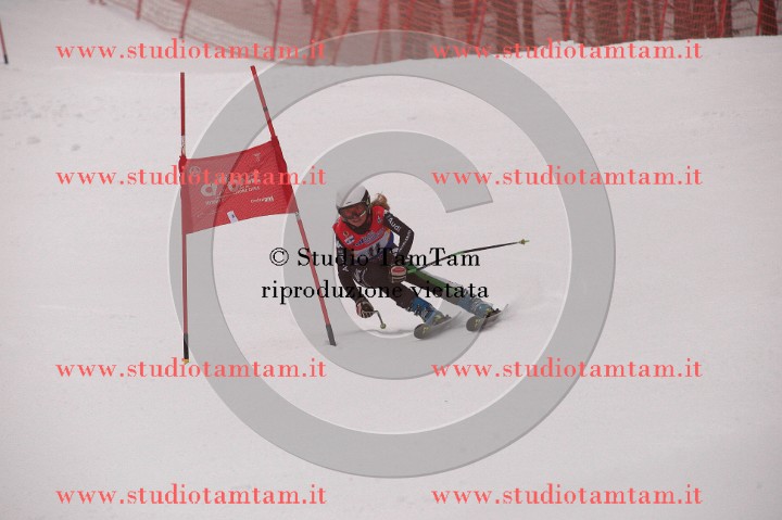 IMGB3580_exposure.JPG