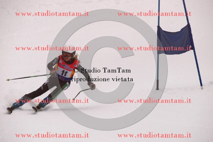 IMGB3585_exposure.JPG