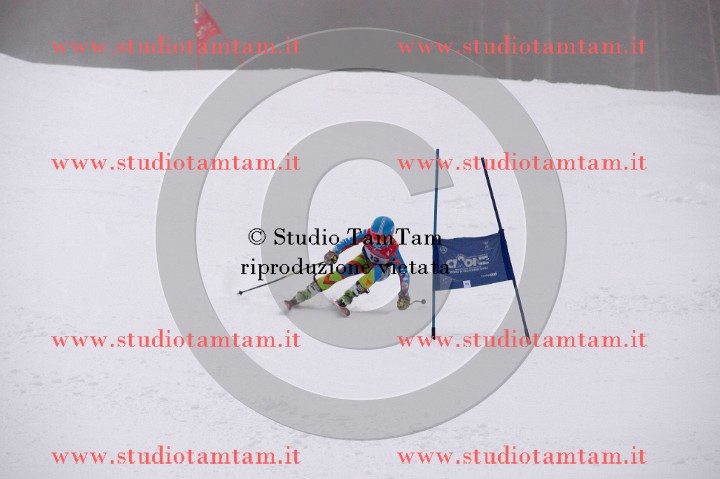 IMGB3623_exposure.JPG