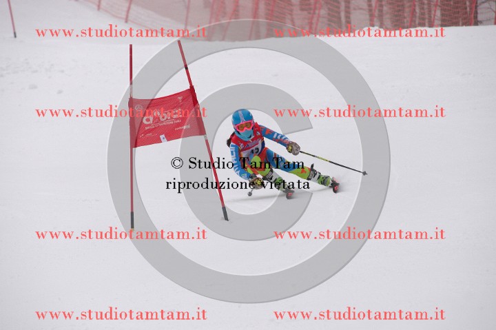 IMGB3626_exposure.JPG