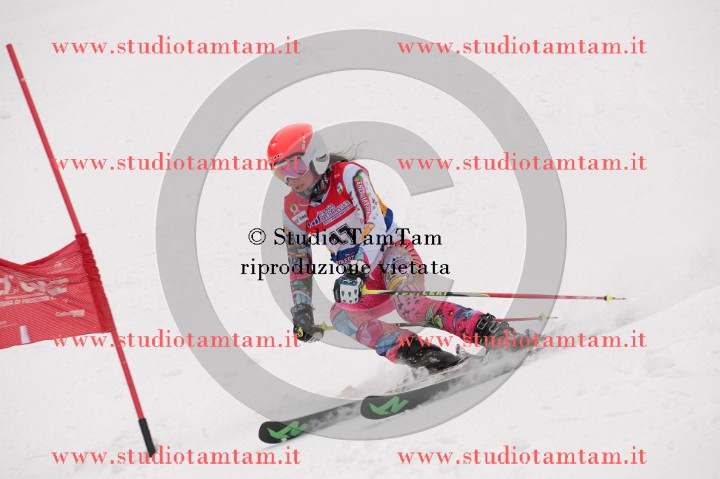 IMGB3654_exposure.JPG