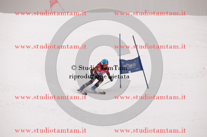 IMGB3667_exposure.JPG