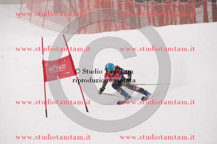 IMGB3668_exposure.JPG