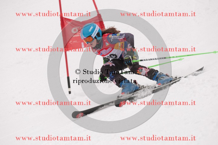IMGB3675_exposure.JPG