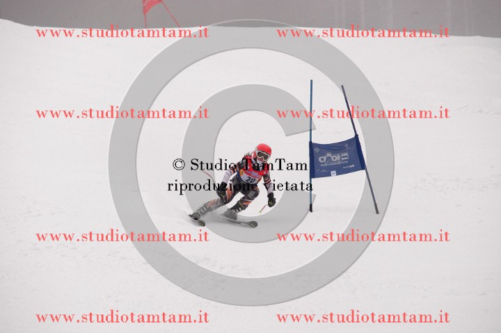 IMGB3676_exposure.JPG