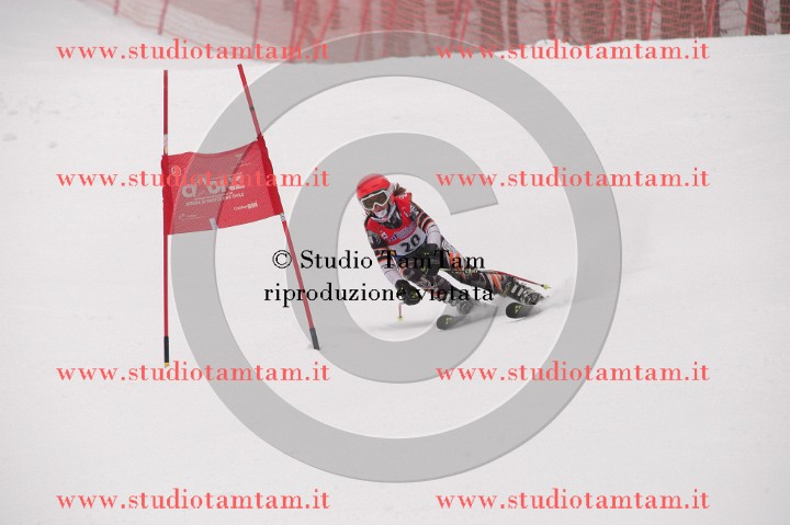 IMGB3679_exposure.JPG