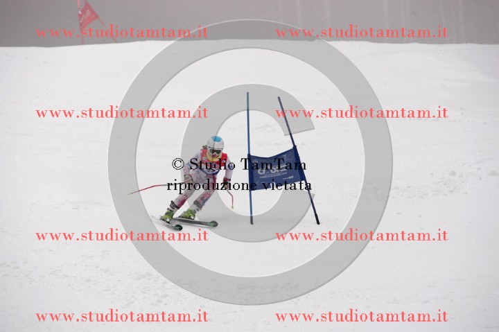 IMGB3699_exposure.JPG