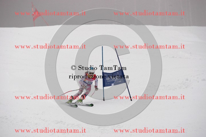 IMGB3700_exposure.JPG