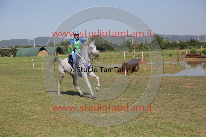 MAT_3667.JPG