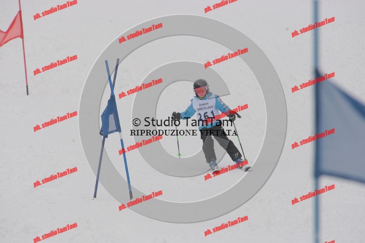 IMGB0462.JPG