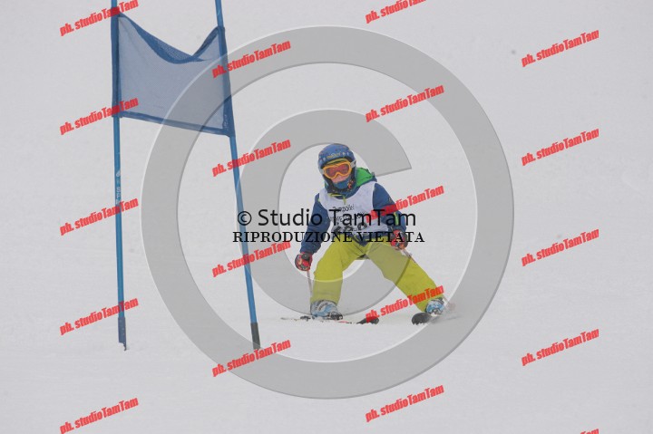 IMGB0631.JPG