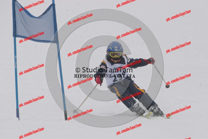 IMGB0711.jpg