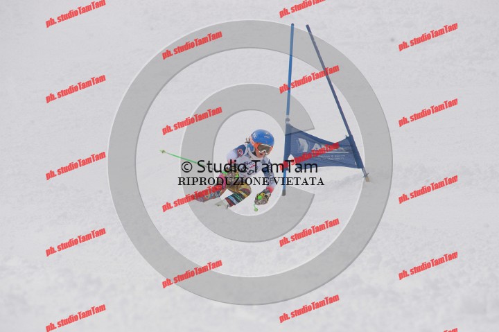 IMGB2616.JPG