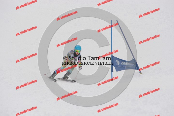 IMGB2711.JPG