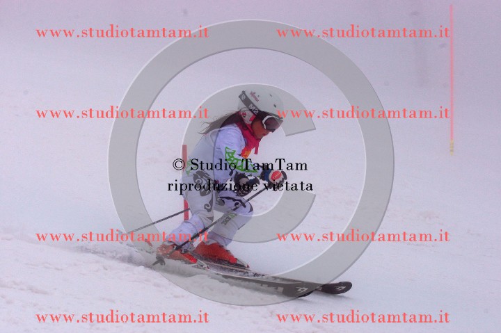 IMGB6976_exposure.JPG